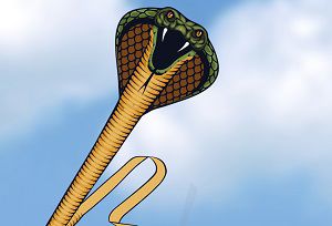 Drache 1154 COBRA