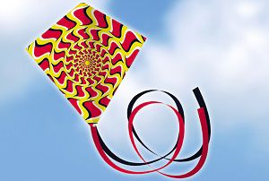 Drache 1162 ILLUSION