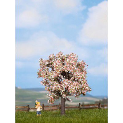 Obstbaum, blühend