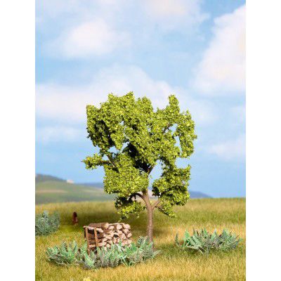 Birnbaum, grün