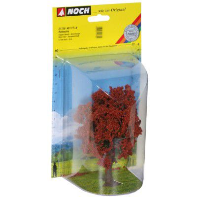 Rotbuche