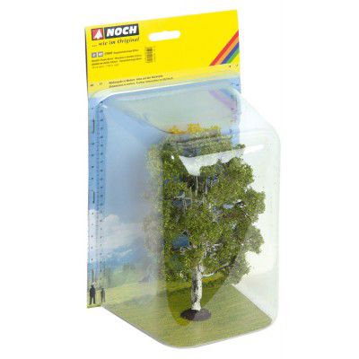 Eiche, 19 cm hoch