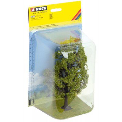 Linde, 18,5 cm hoch