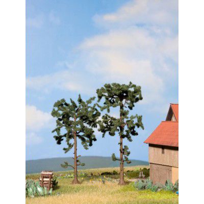 Kiefern, 2 Stück, 11,5 cm und 13,5 cm hoch