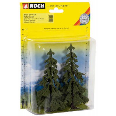 Wetterfichten, 2 Stück, 12 cm und 13 cm hoch