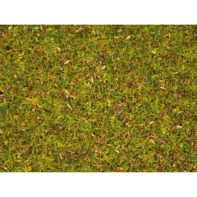 Streugras Blumenwiese, 2,5 mm