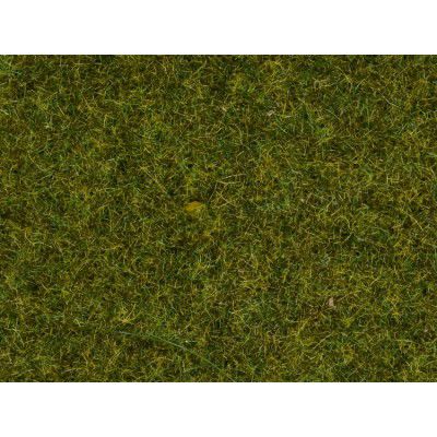 Streugras Wiese, 2,5 mm