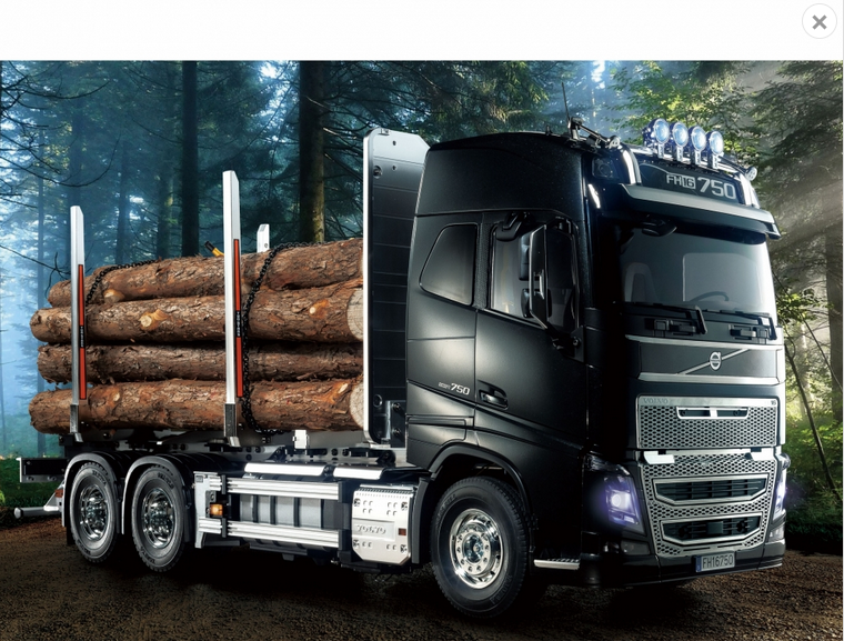 TAMIYA 1:14 RC Volvo FH16 Holztransporter